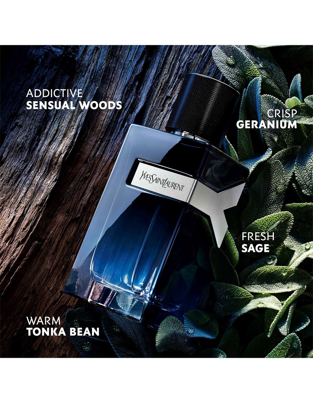 Cologne Club - YSL Y EDP - Independent decant